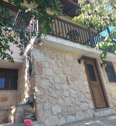 Pisia House | House in the Forest
