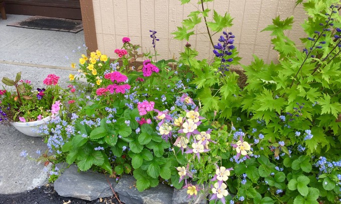 Valdez Bed & Breakfast | House on the Rock B & B