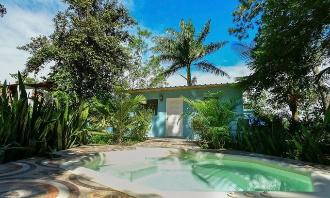 La Vega Province House | House under palm trees (pool and whirlpool included)