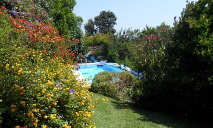 Sever do Vouga House | House with garden