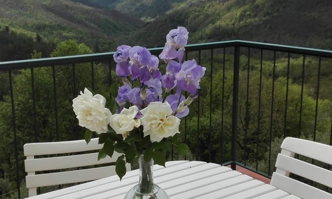 Zignago Apartment | House with wonderful panoramic terrace overlooking the valley. All inclusive!