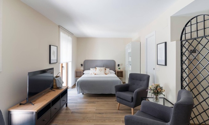 Old Town Apartment | Housing León Azabachería 1A