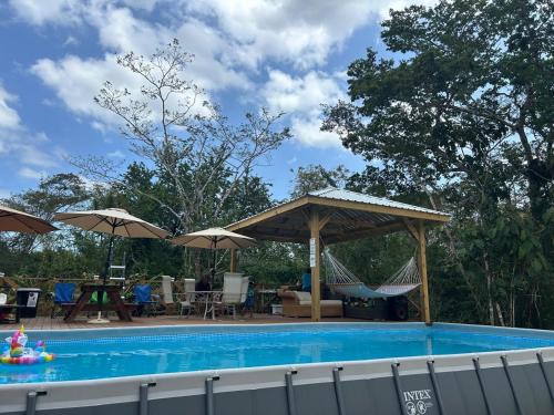 Belize City Hotel | Howler Jungle Cabanas Belize