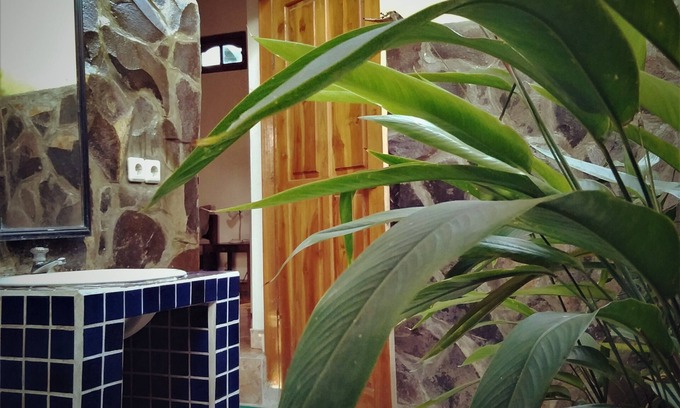 Tukad Mungga Bed & Breakfast | Huge room with open bathroom overlooking rice fields