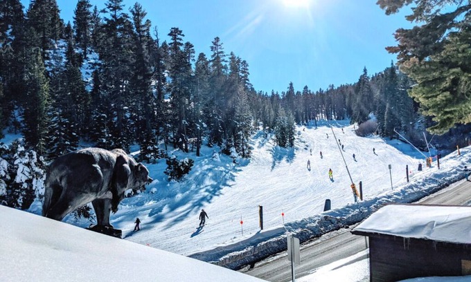 Tahoe Village Cabin | πΏ Huge Ski In/Out with Best Views @ Heavenly! π» The Bear on the Roof - 16ppl