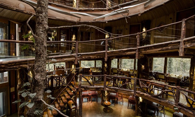 Neltume Hotel | Huilo Huilo Nothofagus Hotel & Spa