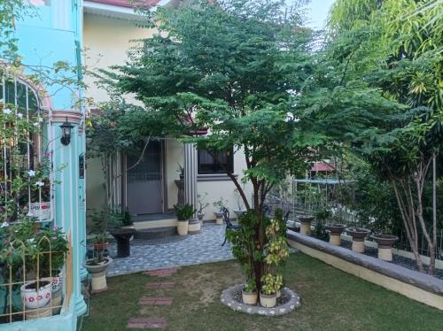 Alaminos House | Hundred Islands Guest House