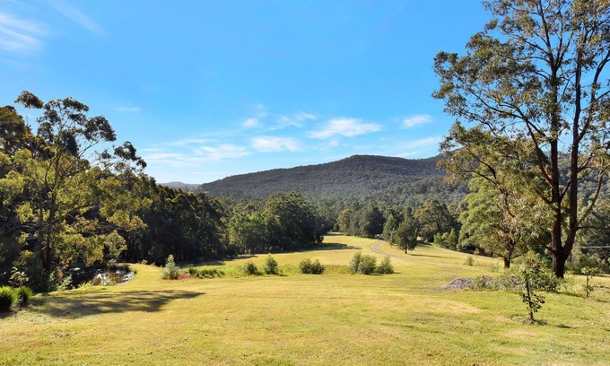 Brunkerville House | Hunter Valley Kangaroo Retreat with 60+ Kangaroos