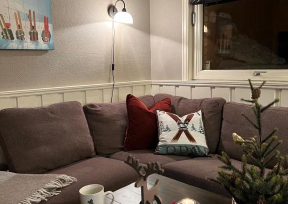 Hemsedal Apartment | Hyggelig leilighet i sentrum