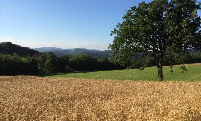 Cosseria Bed & Breakfast | I Calleri Garden and Rooms