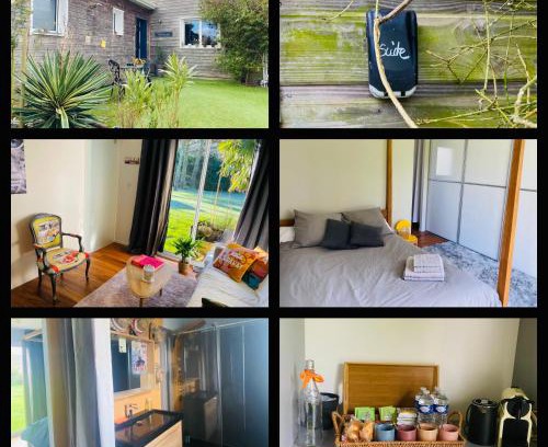 Ligne Apartment | IBI ENJOY la Suite