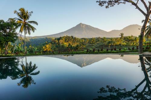 Banyuwangi Resort | Ijen Resort and Villas - The Hidden Paradise
