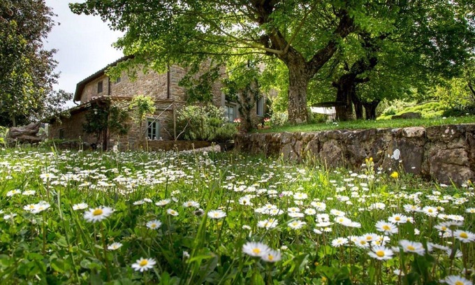 Poggio Alla Croce House | Il Bracconiere, luxury in Chianti - Wifi, swimming pool, parking