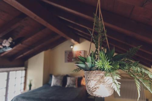 Ardenno Apartment | Il fienile di Rosy