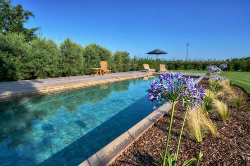 Castello di Godego Bed & Breakfast | Il Glicine - Natural BnB