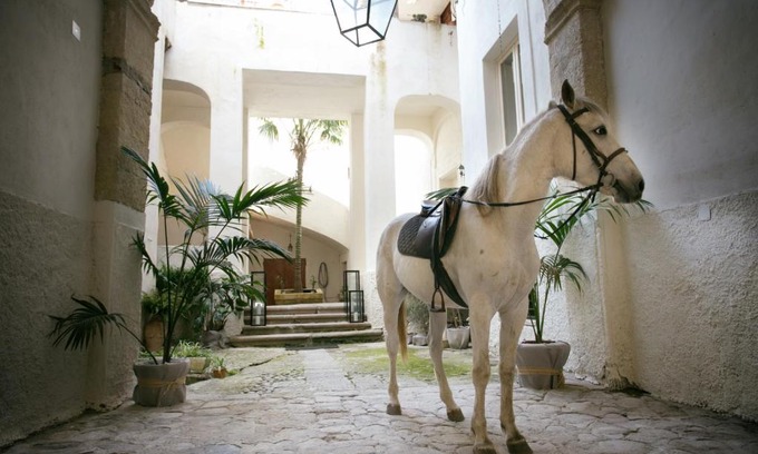 Tropea Apartment | IL Marchese Del Grillo