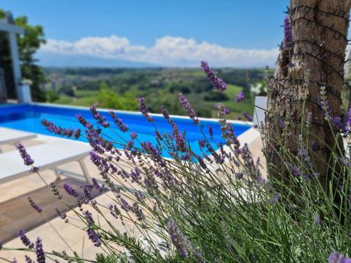 San Vito Chietino Bed & Breakfast | Il Nido B&B