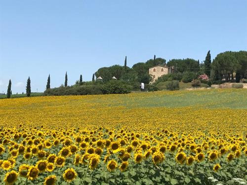 Solomeo Bed & Breakfast | Il vecchio seccatoio