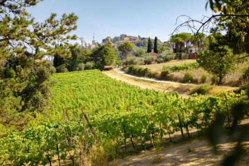 Bertinoro House | Il Vigneto Cottage