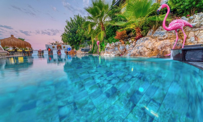 Alanya Hotel | Illusion Beach Club Hotel +16 Only Adult