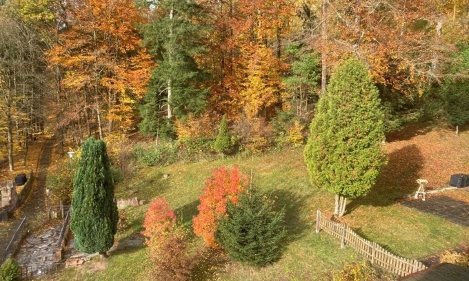 Ziebach Apartment | Immensee II Apartment with lake view and located at the forest edge