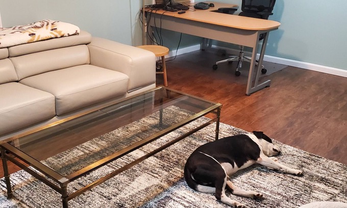 Hartford Apartment | In Law apt minutes from Downtown Hartford