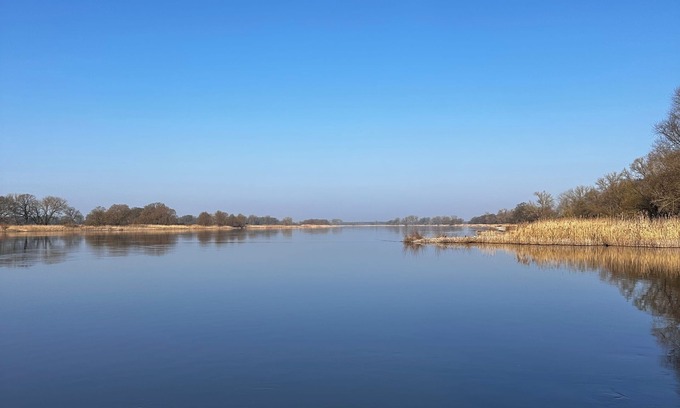 Domitz Apartment | In the middle of the nature reserve directly on the Elbe. Lovely modern vacation apartment