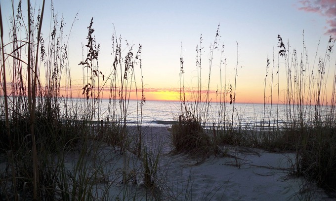 Cape Haze House | 'Incommunicado ' ~A~ Hammock, Cool Drink, Whispering Pines.