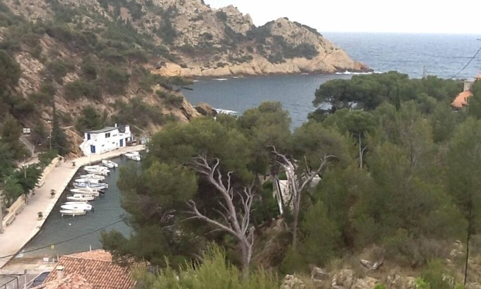 Ensues-la-Redonne Apartment | Independent apartment in villa, in the pines overlooking the sea.