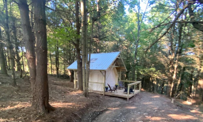 Otego Cabin | Indulge in our Forest Retreat