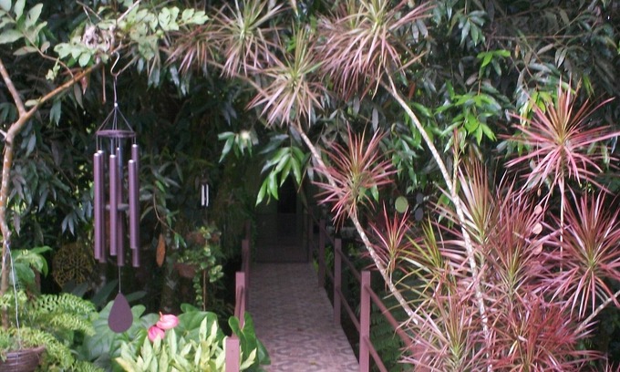 Aguas Zarcas House | Inlakech: Tropical, Magical & Charm