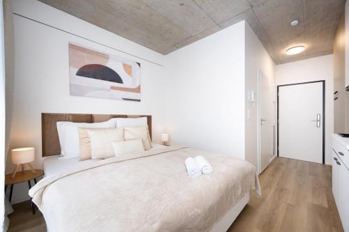 Brno-stred Apartment | Internesto Brno HUB