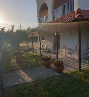 Pangaio House | Irida