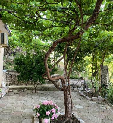 Gjirokaster House | Isaraj Guest House