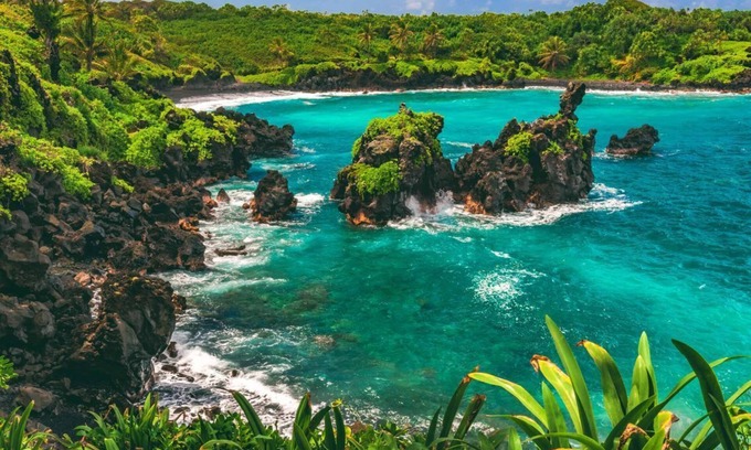 Kahului House | Island Paradise! Three Gorgeous Units, Pool, Pet-Friendly