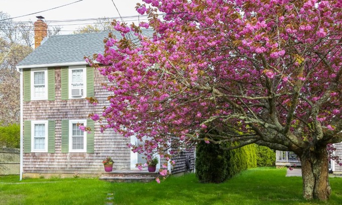 Oak Bluffs House | Island Sanctuary