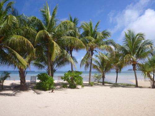 Anse aux Pins House | Jamelah Beach Guest House