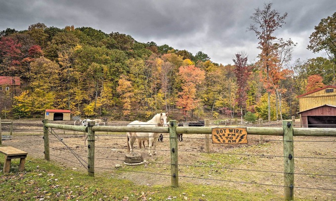 Huntingdon Apartment | 'James West' Apt w/50 Acres - Near Raystown Lake