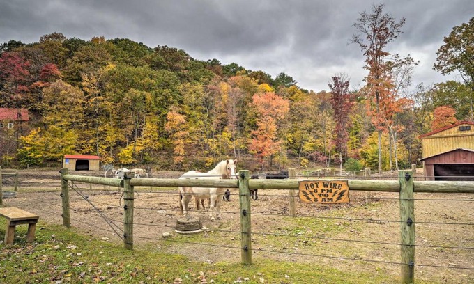 Huntingdon Apartment | James West Apt with 50 Acres - Near Raystown Lake