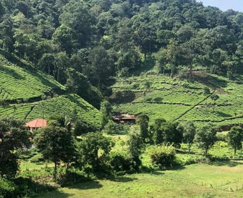 Lakkidi House | Janiro Tea Trees Villas