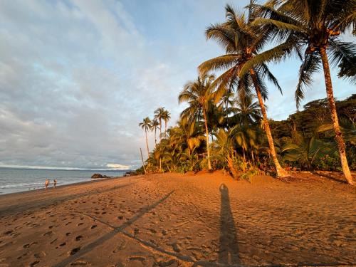 Nuqui Hotel | Jenené Lodge Nuquí