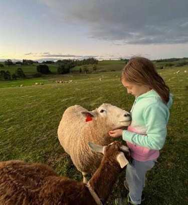 Buln Buln House | Jilly Park Farmstay Experience Discover Authentic Farm Life Complimentary Breakfast Included