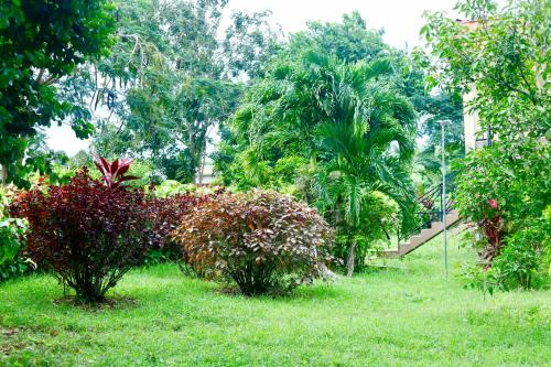 Highgate Apartment | JIREH'S PLACE