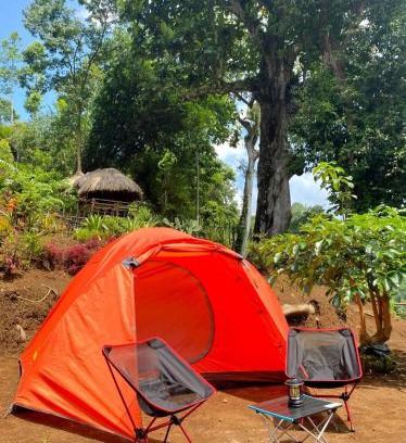 Argosari Other | Joe Nature Camp