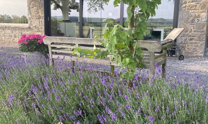 Han-sur-Lesse House | Jolie maison de vacances, cadre exceptionnel * Exceptionnal location