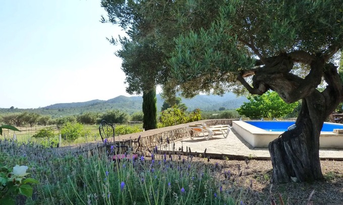 Tortosa House | Jolie Petite Maison À LA Campagne 15mn DE LA MER