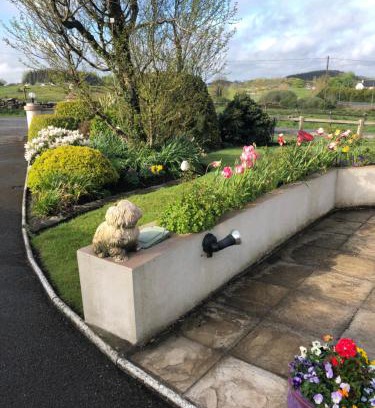 Kilkelly Bed & Breakfast | June’s b&b