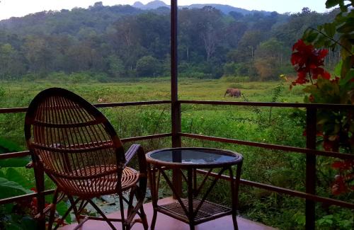Kaimane Cabin | Jungle Retreat Wayanad