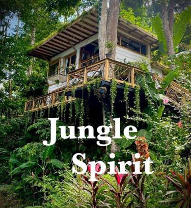 Cahuita House | Jungle Spirit Treehouse