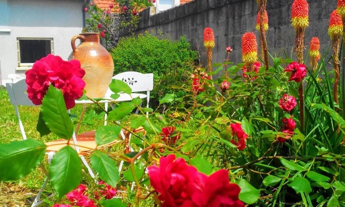 Chatellerault Bed & Breakfast | Just a few minutes from Futuroscope/Aqua/Arena, ideal family apartment for 4 people